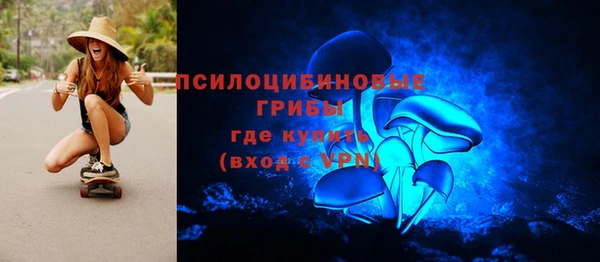 а пвп мука Дмитриев