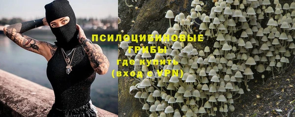 а пвп мука Дмитриев